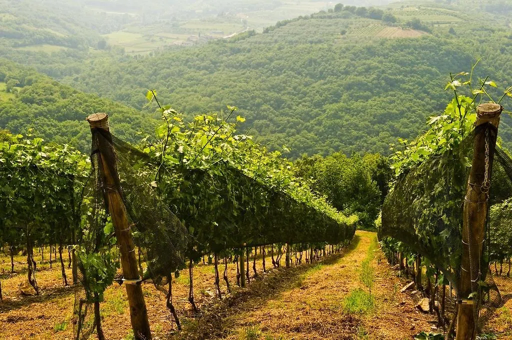 Agriturismo Casa Maffei Otel Tregnago Kır Evi